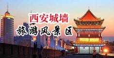 男人用鸡巴插女人,无遮挡网站中国陕西-西安城墙旅游风景区